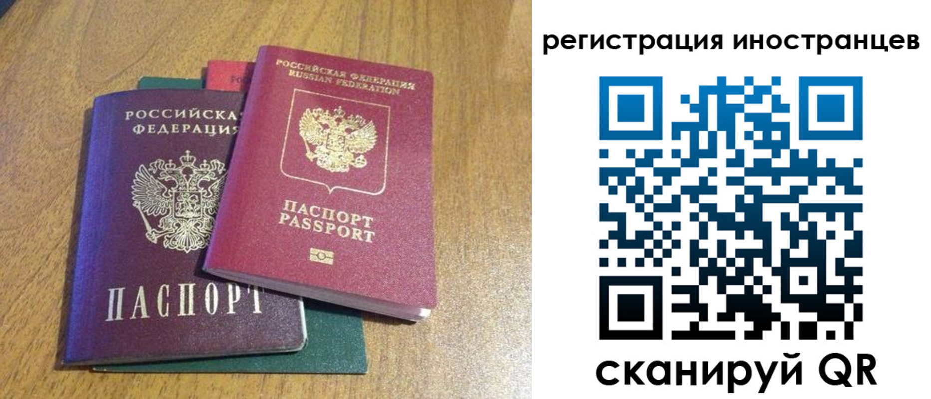 временная регистрация поиск в Сольцах